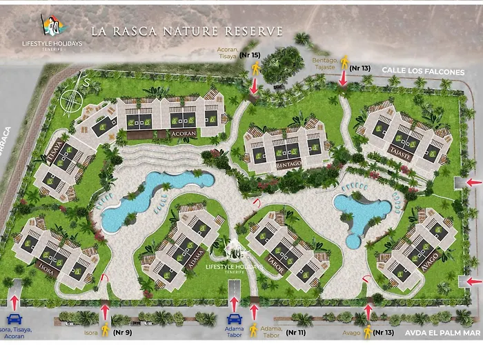 Jardines - Tisaya 02 With Garden View 1b * Arona (Tenerife)